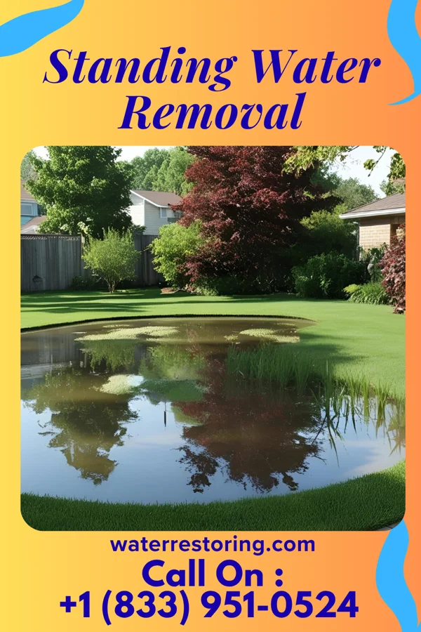 Standing Water Removal in Coldwater, KS